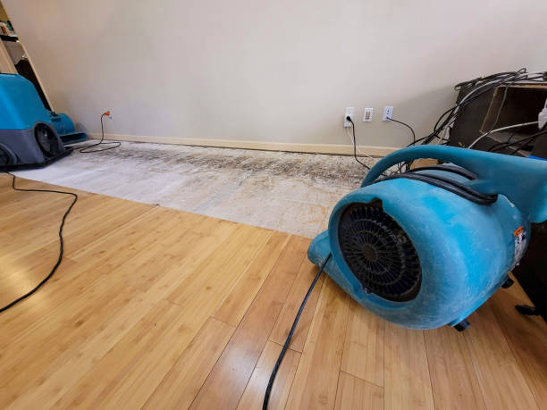 Professional Emergency Water Damage technician working in Harwood, MD